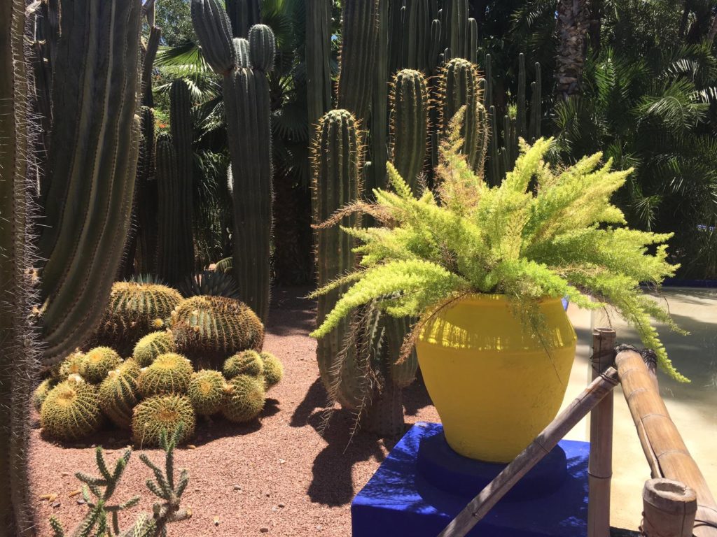 Kolorowe donice w Jardin Mejorelle