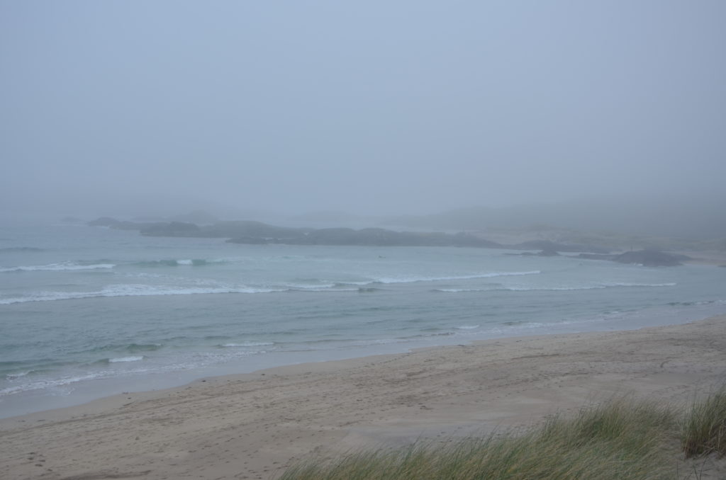 Na plaży Derrynane