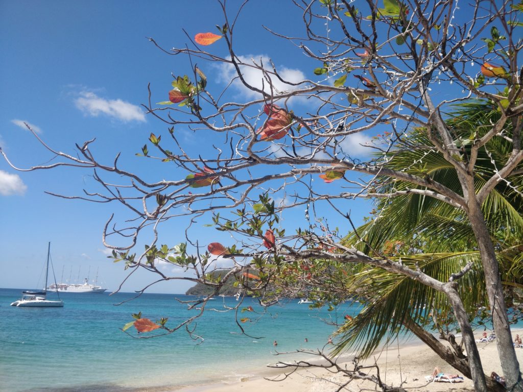 Bequia Lower Bay