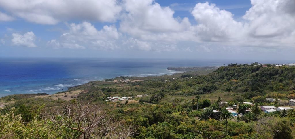 Barbados panorama