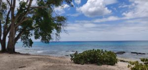 barbados-rock-bay
