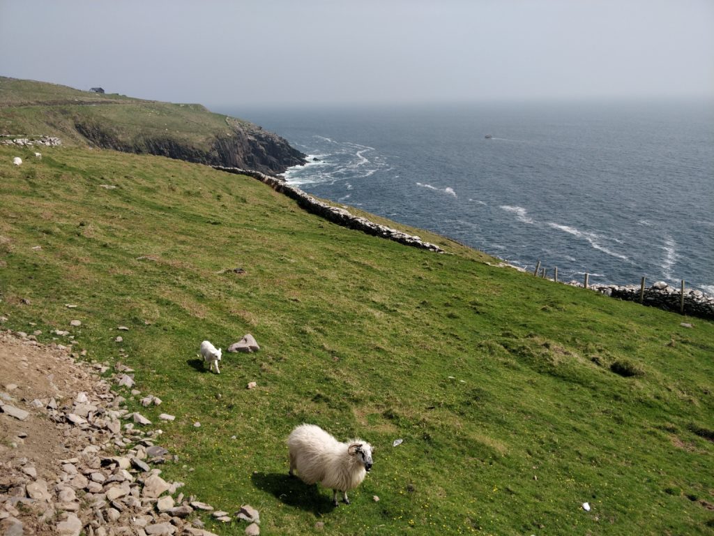 Półwysep Dingle Irlandia