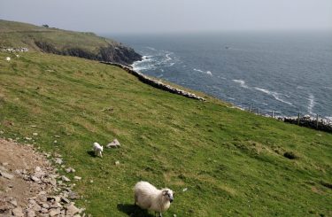 Półwysep Dingle Irlandia