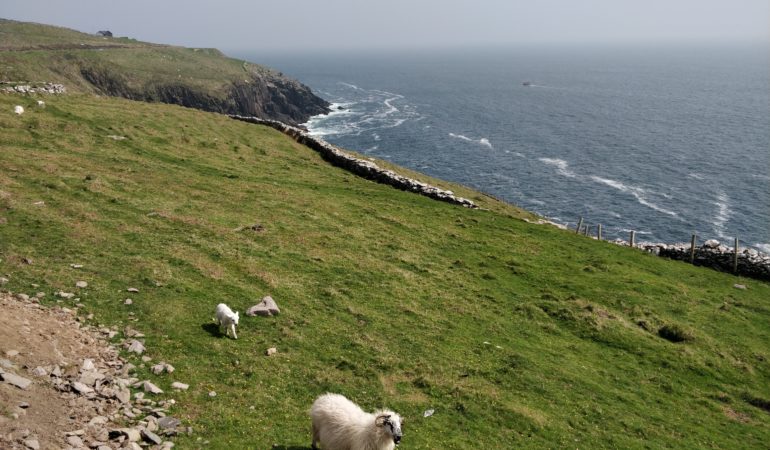 Półwysep Dingle Irlandia