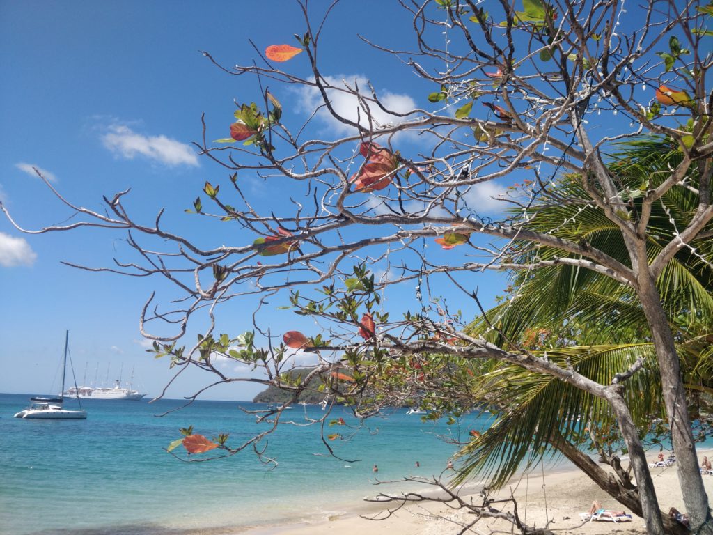 Plaża Lower Bay na Bequia