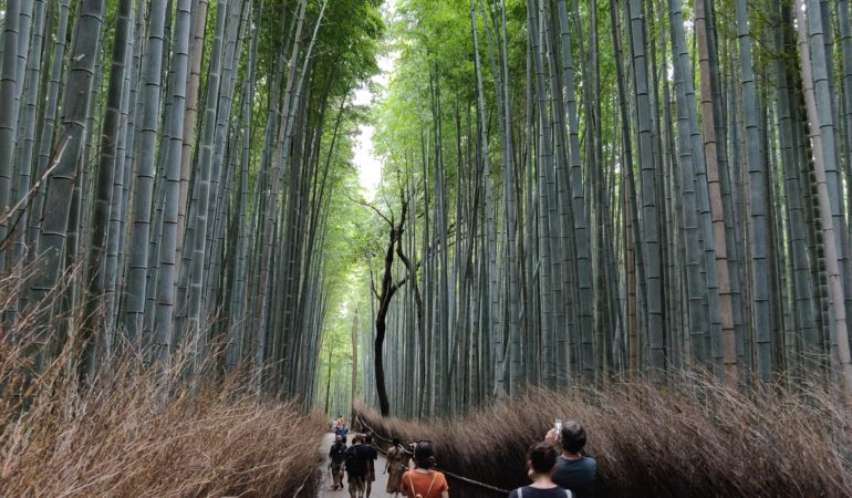 Arashiyama