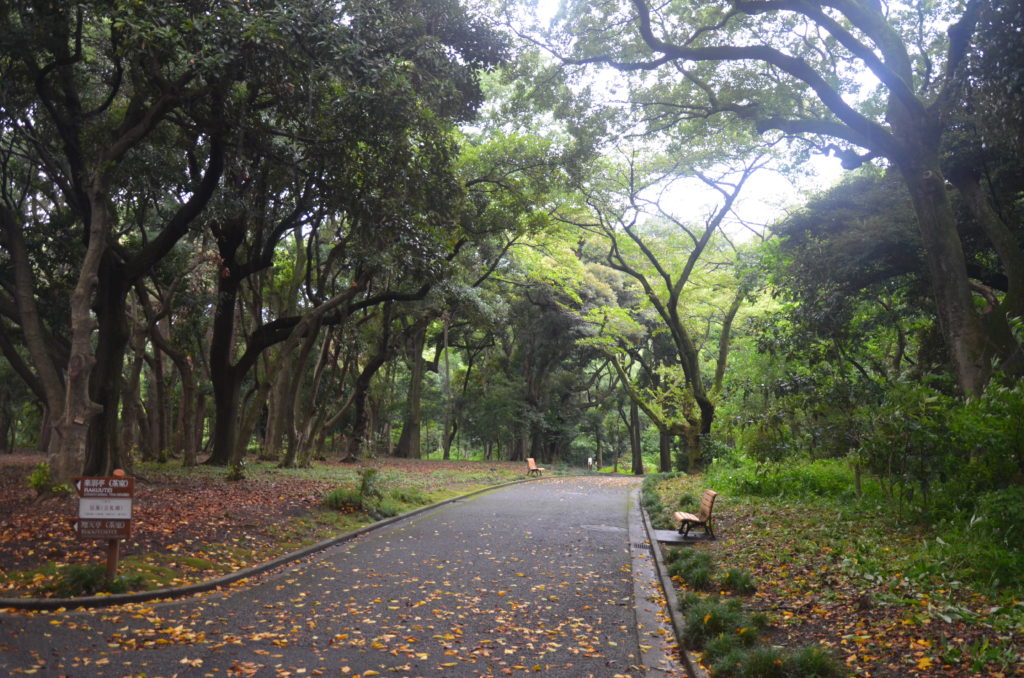 Shinjuku Gyoen 