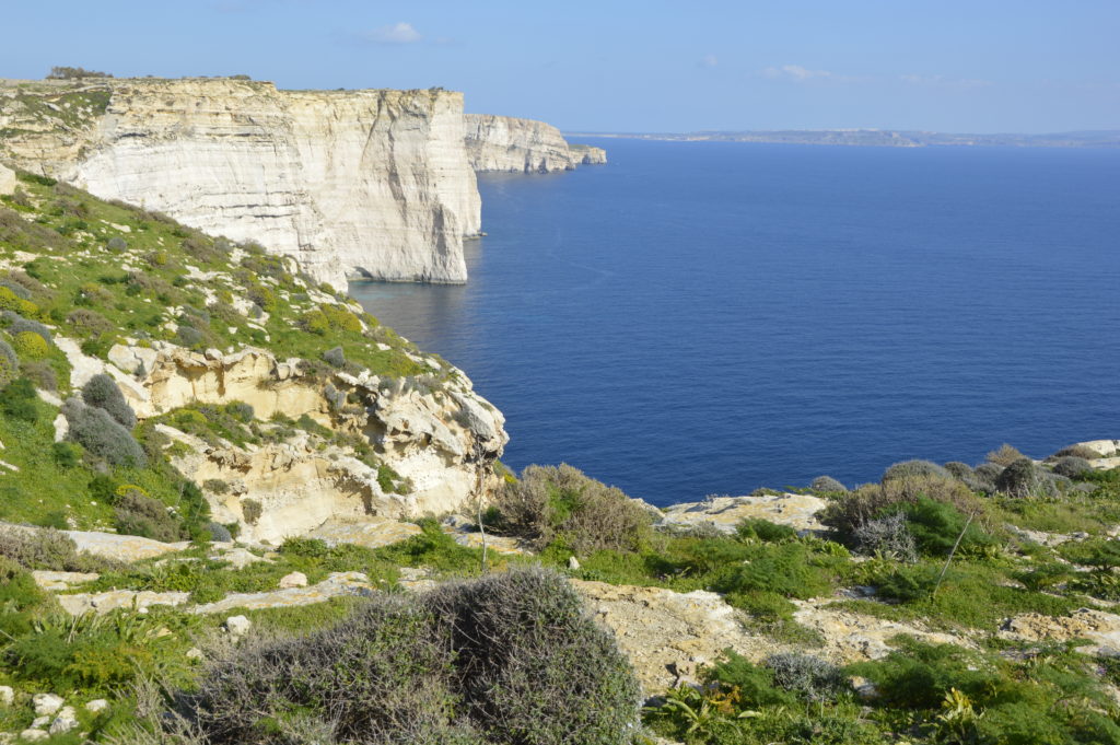 Gozo