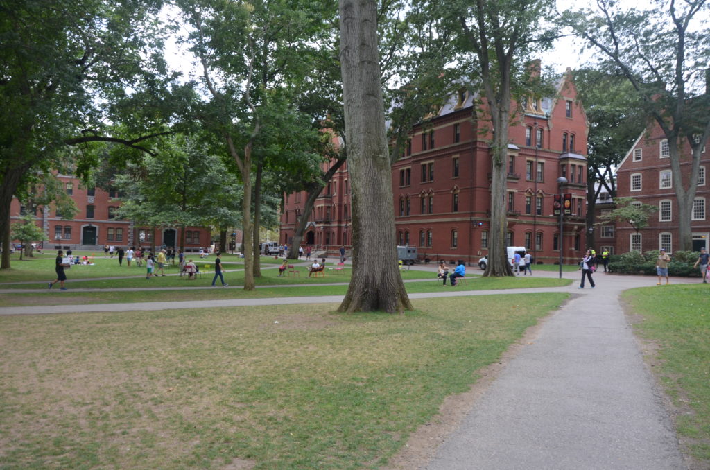 Harvard 