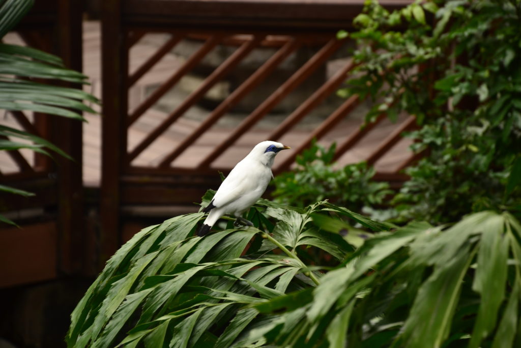 Park Hongkong 