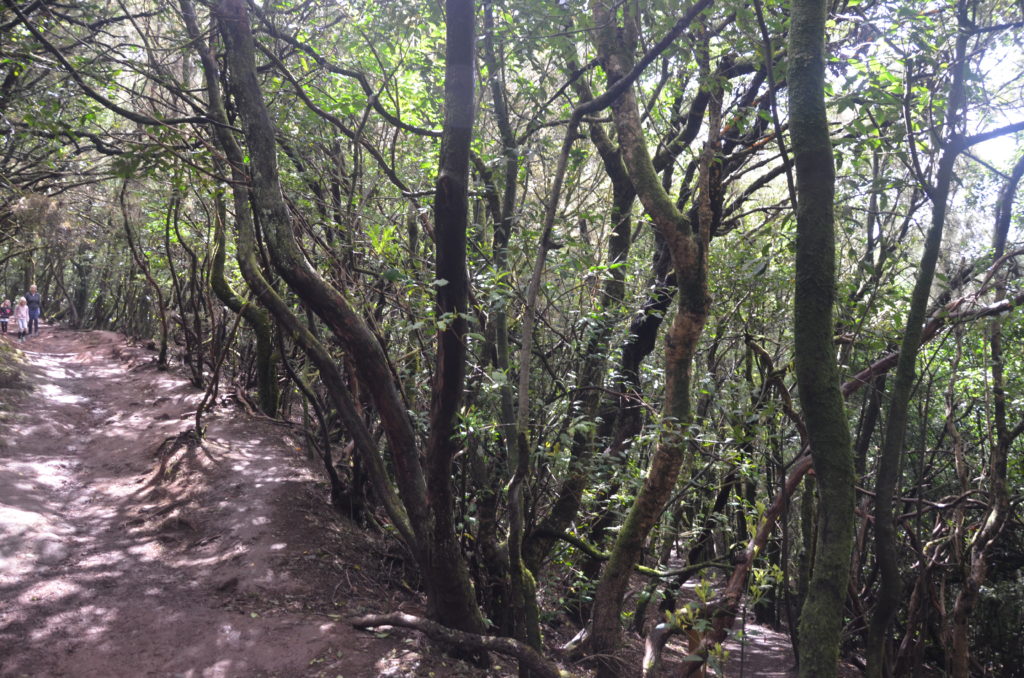 Sendero de los Sentidos