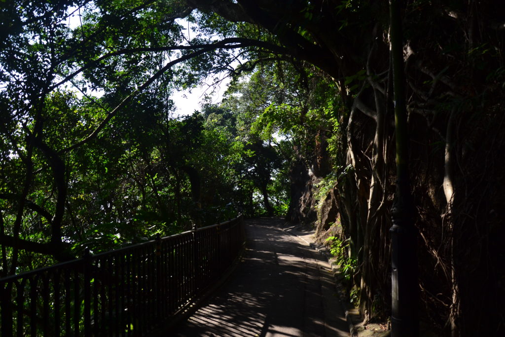 Victoria Peak Hongkong