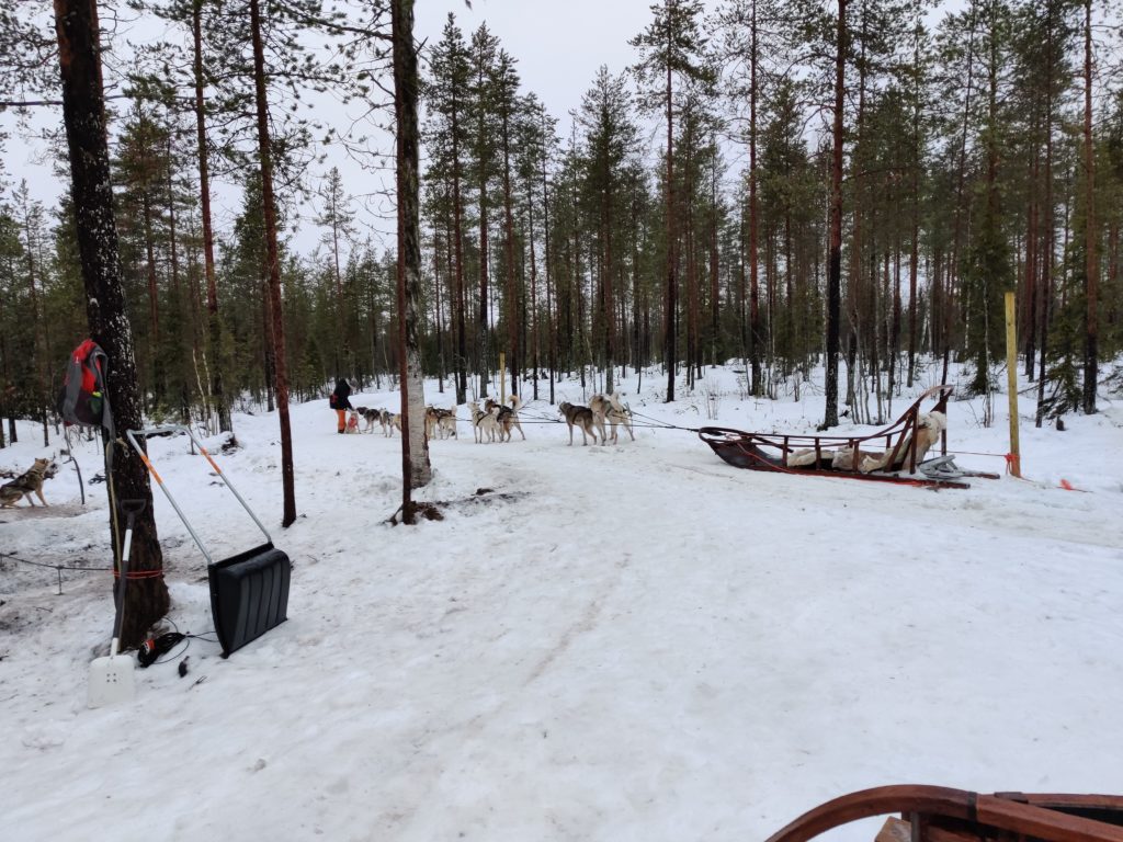 Husky Rovaniemi