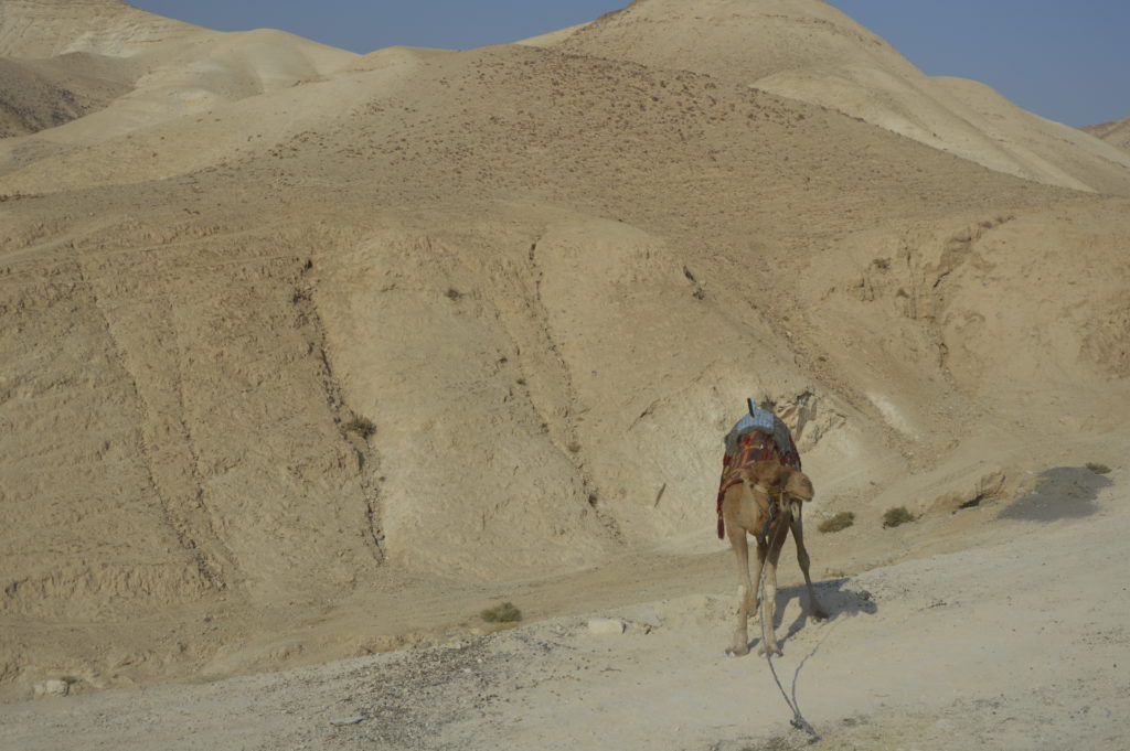 Masada Izrael