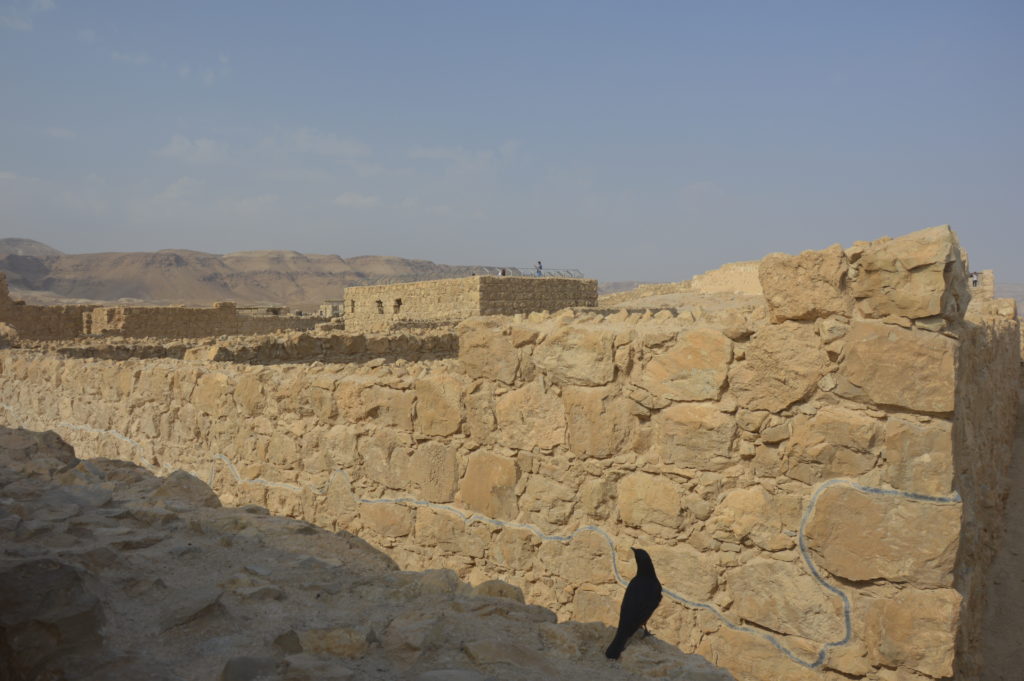 Masada Izrael