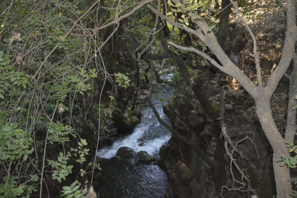 Park Narodowy Banias Izrael