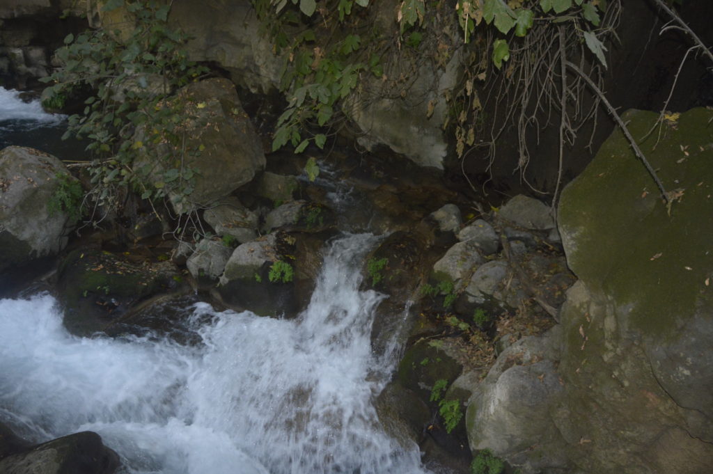 Park Narodowy Banias Izrael