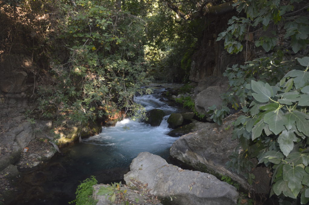 Park Narodowy Banias Izrael