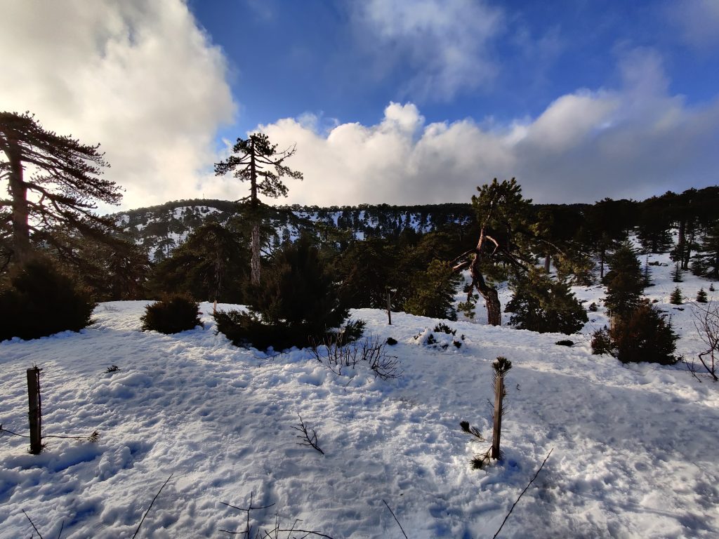 Troodos zdjęcia