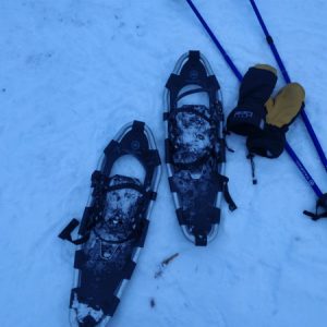 Snowshoeing small