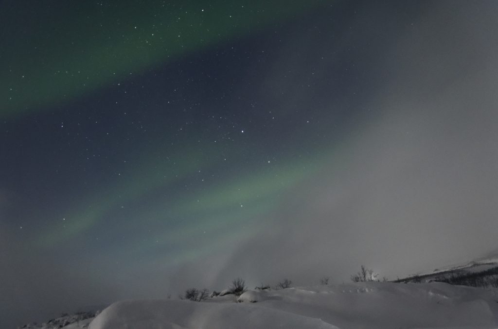 Zorza polarna Tromso