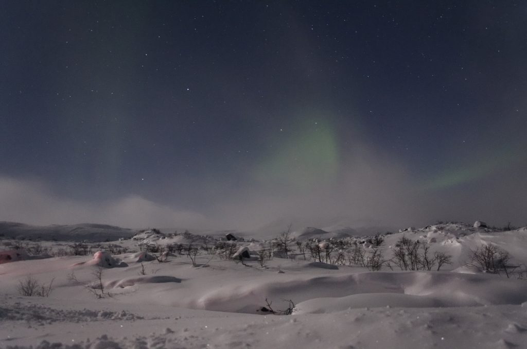 Zorza polarna Tromso