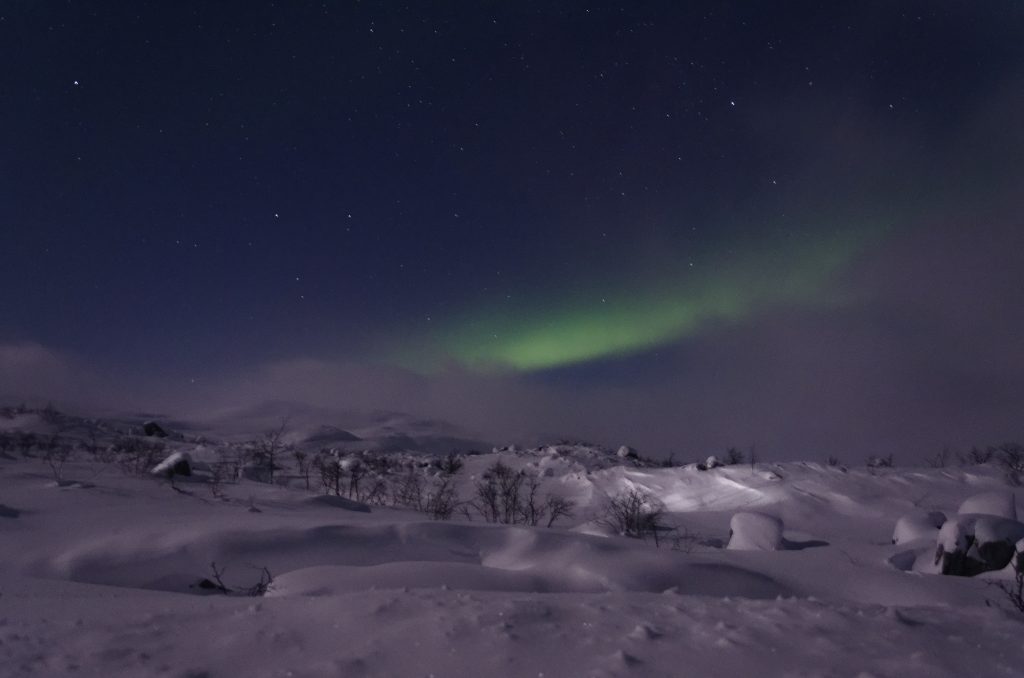 Zorza polarna Tromso