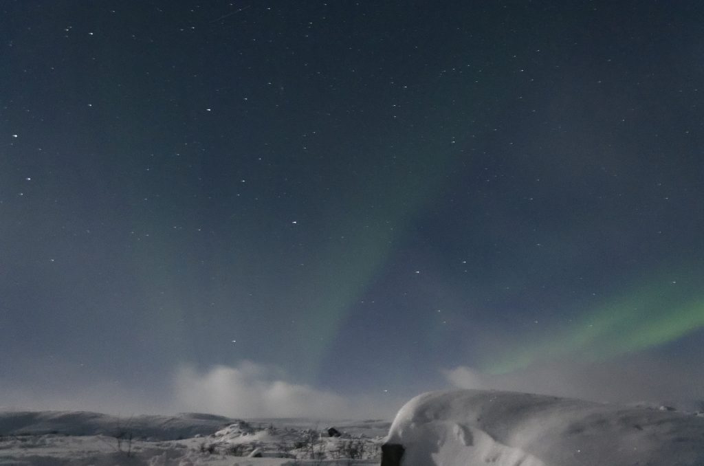 Zorza polarna Tromso