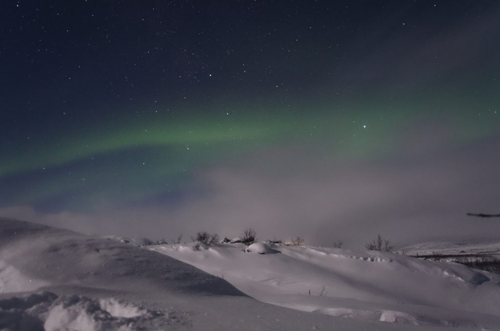 Zorza polarna Tromso