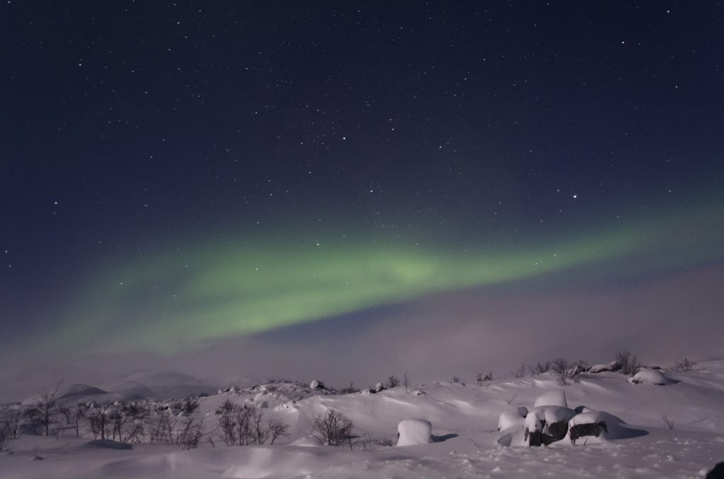 Zorza polarna Tromso