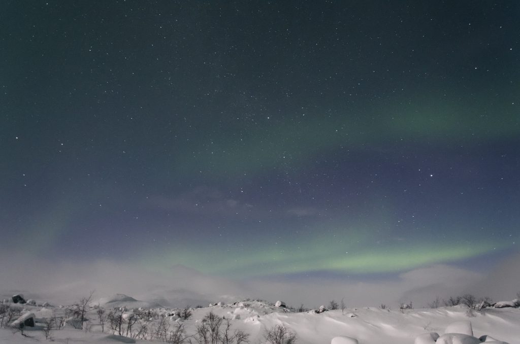 Zorza polarna Tromso