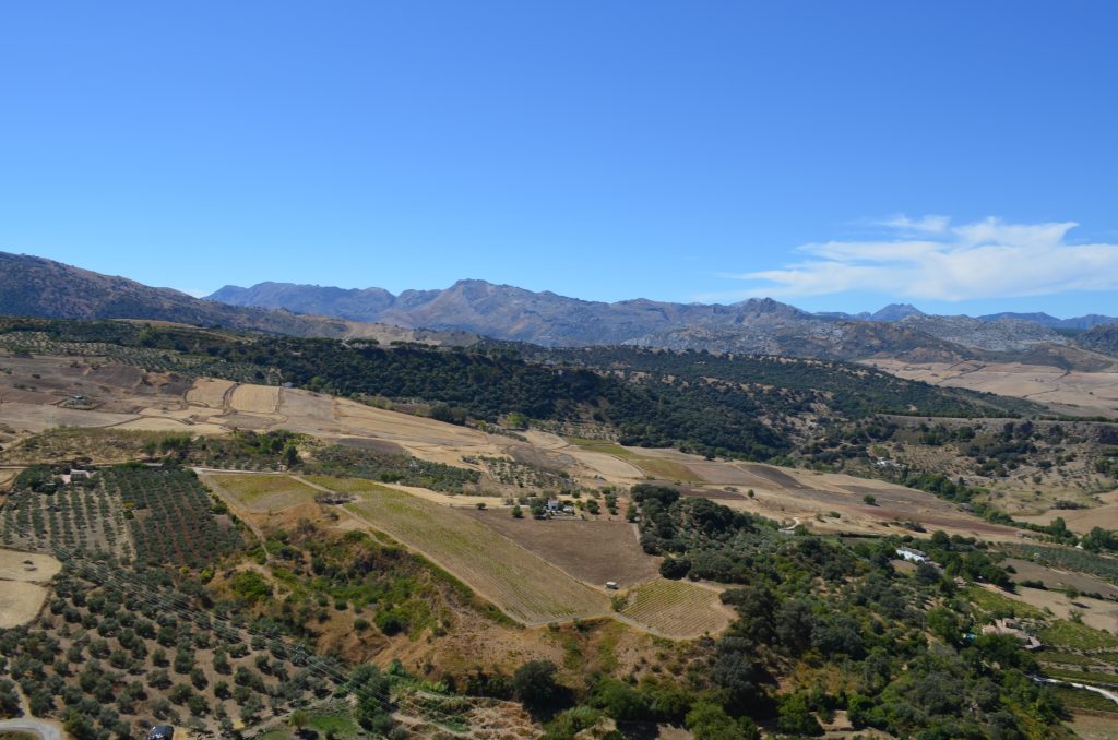 Alameda del Tajo Ronda