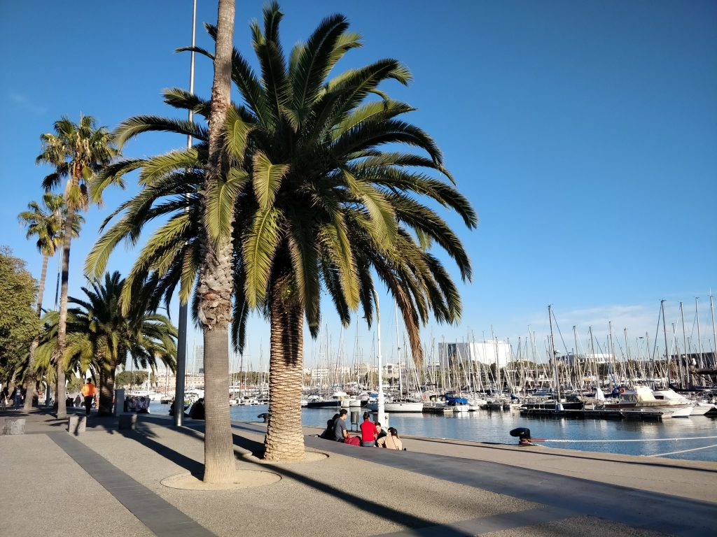 Barcelona panorama