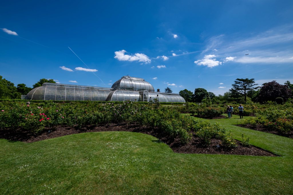 Kew Gardens Londyn