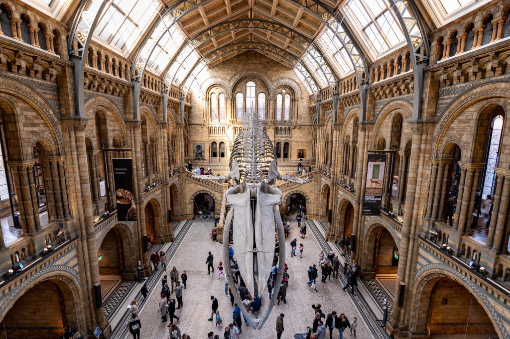 Londyn Muzeum Historii Naturalnej