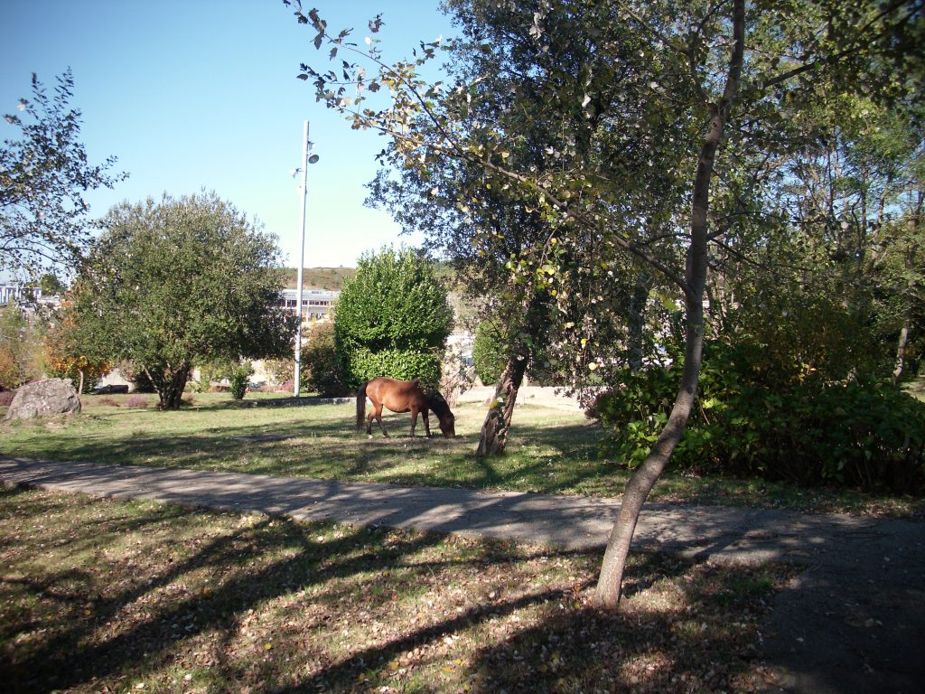 Universidade de Vigo