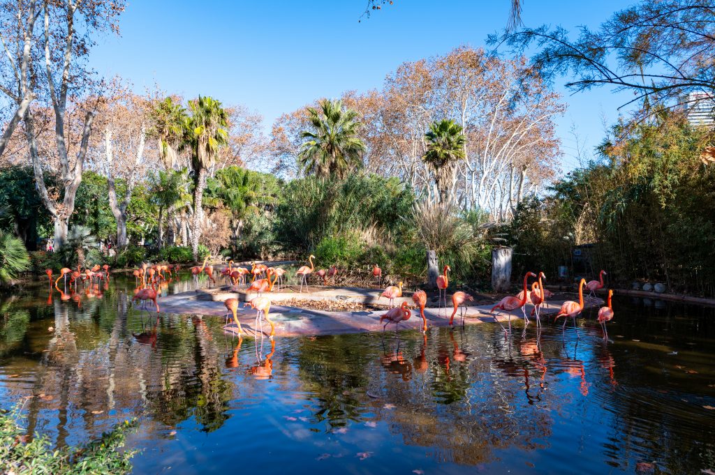 Zoo Barcelona