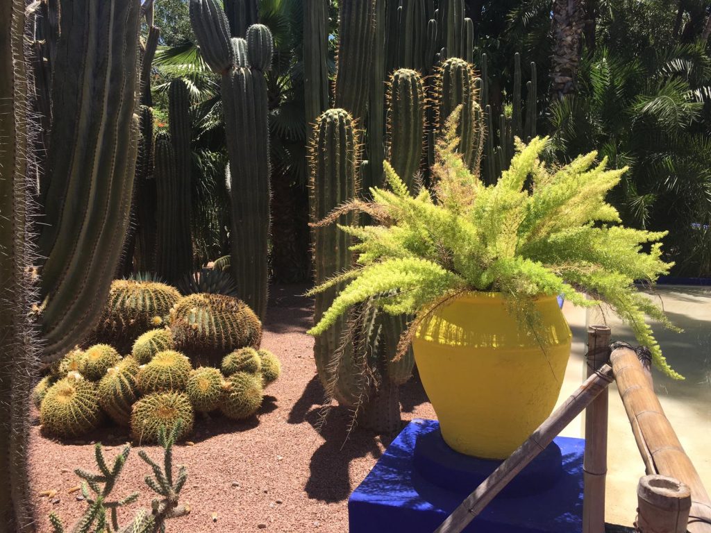 Majorelle Marrakesz