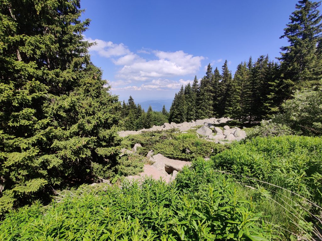 Vitosha 