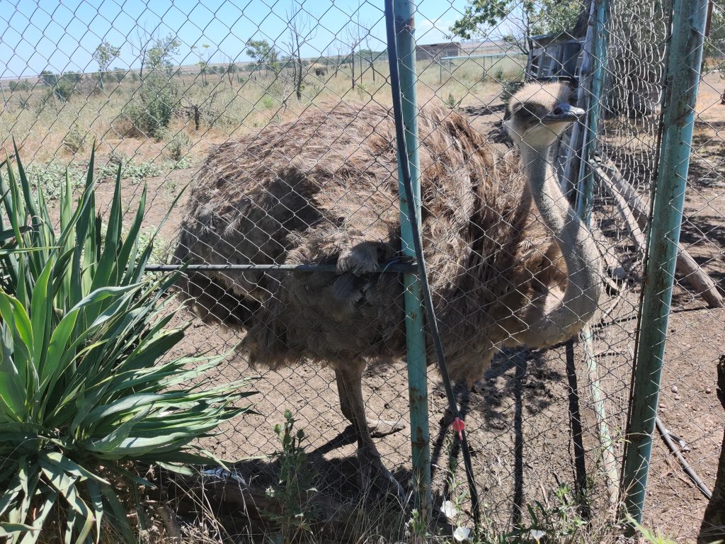 Zoo Burgas