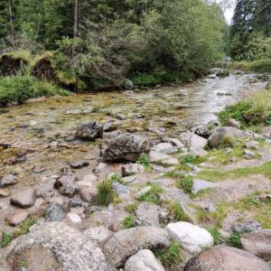 Dolina Kościeliska small