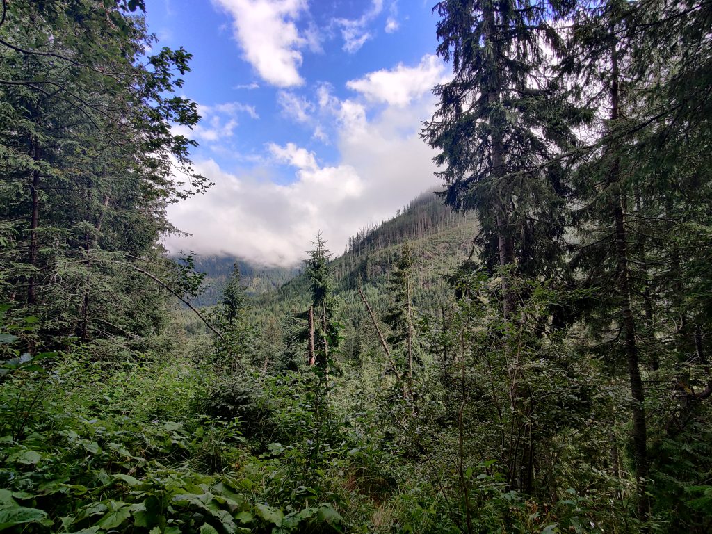 Morskie Oko