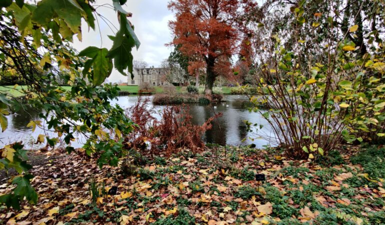 Wakehurst