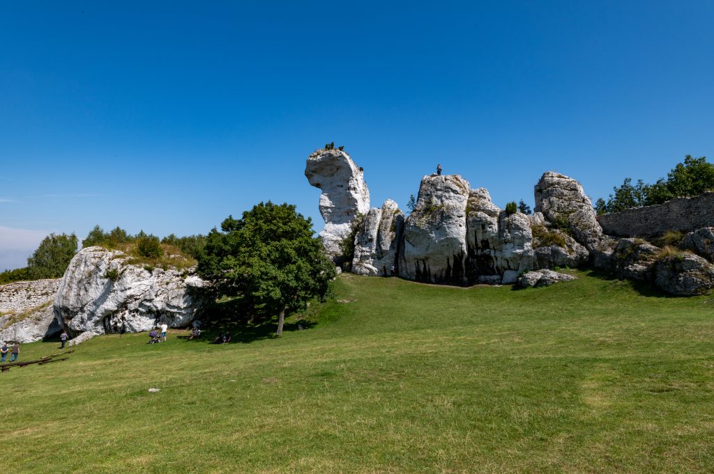 Zamek Ogrodzieniec 
