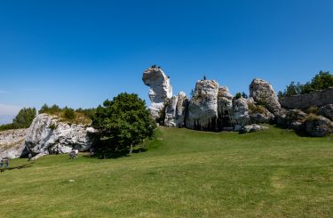 Zamek Ogrodzieniec