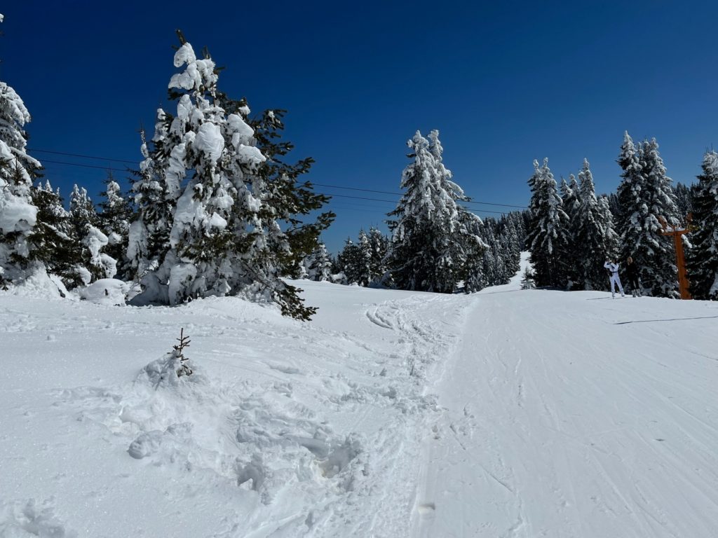 Pamporovo