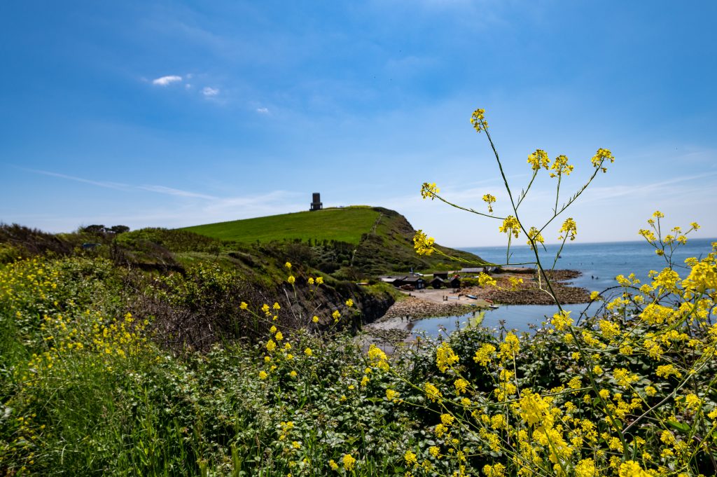 Kimmeridge Bay Dorset 