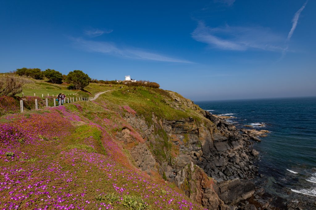 Lizard Point Kornwalia