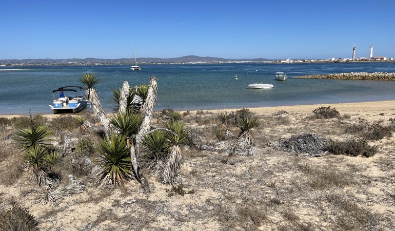 Faro