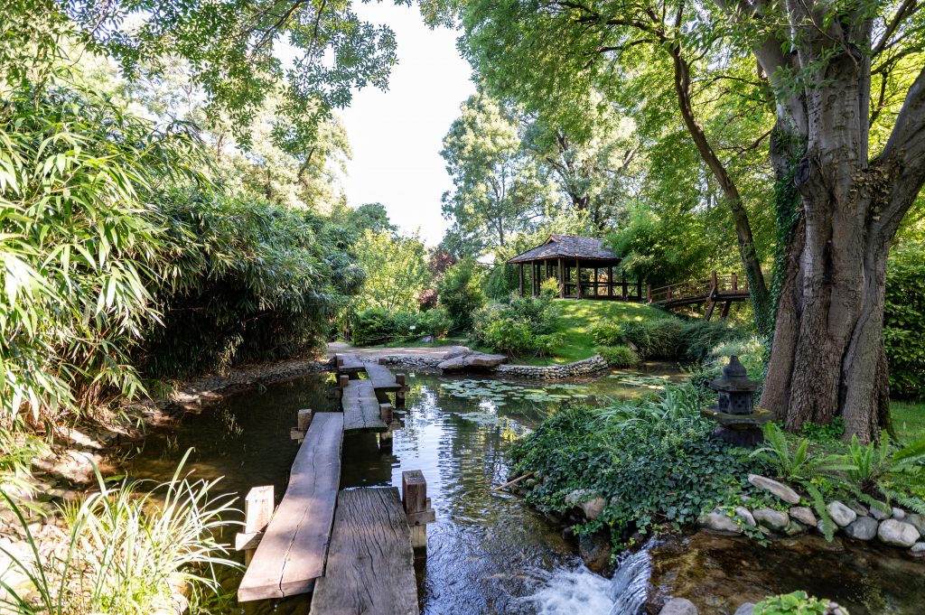 Ogród Botaniczny „Jevremovac”